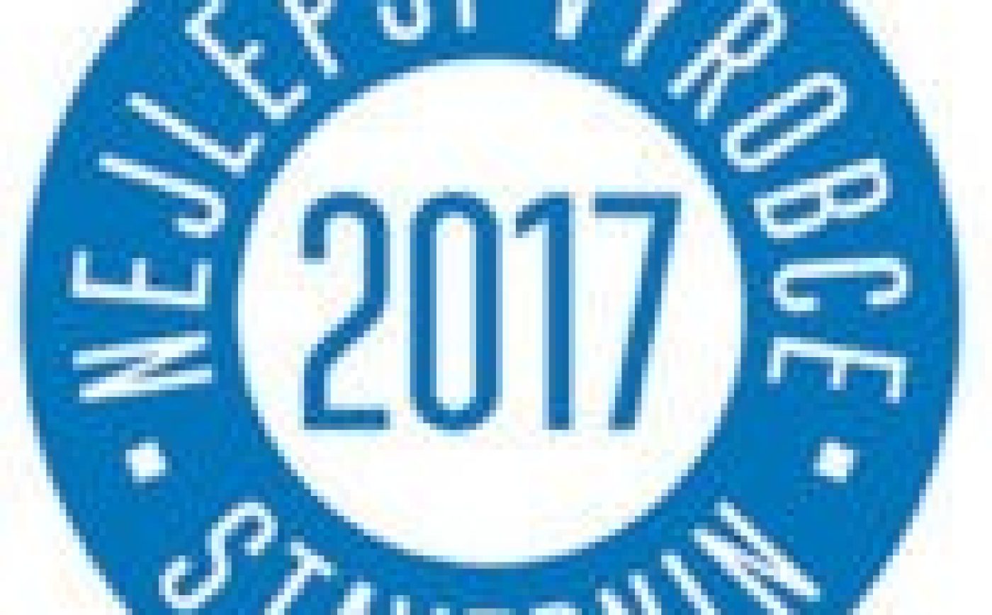 Fotografie z vyhlášení nejlepšího výrobce stavebnin roku 2017 | Vzorový e4 dům | Wienerberger