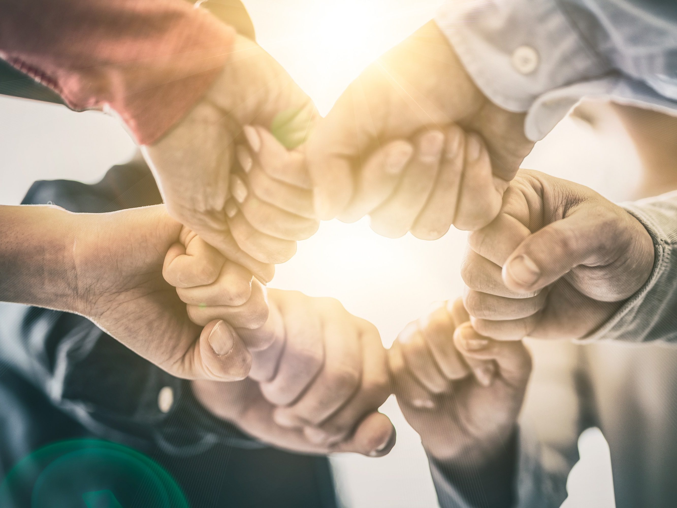 Pěsti v kruhu - symbol partnerství | Průmysloví partneři v programu Wienerberger e4 dům