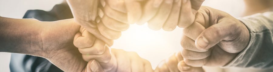 Pěsti v kruhu - symbol partnerství | Průmysloví partneři v programu Wienerberger e4 dům